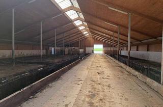 Gewerbeimmobilie mieten in 83549 Eiselfing, Zu vermieten Nähe Wasserburg am Inn, ehem.Kuhstall, neuer Betonboden wird eingebaut, 50 x 21 Meter.