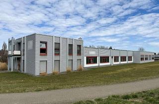 Gewerbeimmobilie mieten in Marc-Cain-Allee 13, 72411 Bodelshausen, Produktionshalle * ebenerdige Andienung * 35 Stellplätze