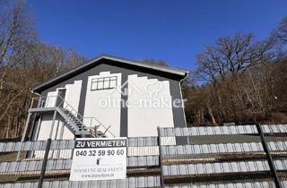 Gewerbeimmobilie mieten in Lauenburger Landstraße 3b, 21039 Börnsen, * Historische Lagerhalle * ab 7 €/m² * über zwei Ebenen * ab 67 m² bis 400 m²