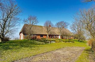 Haus kaufen in Altendeich 17, 25856 Hattstedtermarsch, Einzigartiges Wohnjuwel: Reethaus mit großem Grundstück in Hattstedtermarsch zu verkaufen