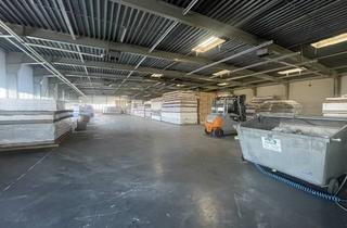 Gewerbeimmobilie mieten in Mindener Straße 29, 32547 Bad Oeynhausen, Ideale Lagerhalle in Top-Lage von Bad Oeynhausen
