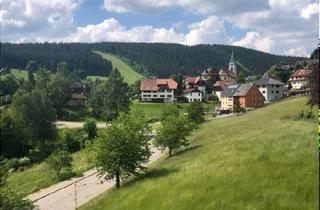 Wohnung kaufen in 79868 Feldberg, Feldberg (Schwarzwald) - Panoramablick mit S-Bahnanschluss: 2-Zi.-Wohnung in Altglashütten