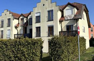 Wohnung kaufen in An Den Schäferpfühlen 33, 16321 Bernau, Charmante 2-Zimmer-Wohnung mit Gartenanteil – sofort verfügbar