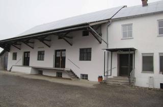 Büro zu mieten in Raiffeisenstr., 86567 Hilgertshausen-Tandern, Büro + Lagerhalle mit Freifläche