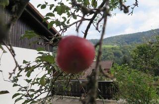 Haus kaufen in 83487 Marktschellenberg, Bezahlbares Häuschen durch Eigenleistung