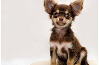 Wohnung kaufen in 97297 Waldbüttelbrunn, 1-Zimmer-Wohnung mit Einbauküche, Tageslichtbad & Stellplatz in Waldbüttelbrunn