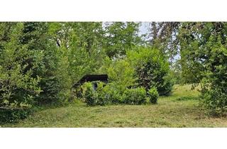 Haus kaufen in 74081 Heilbronn, Heilbronn - Garten, Grundstück