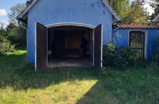 Einfamilienhaus kaufen in 29362 Hohne, Hohne - Großes Wohnhaus mit viel Charme