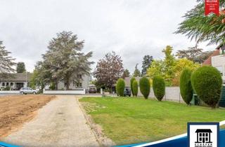 Grundstück zu kaufen in 53359 Rheinbach, Keine Käuferprovision! Attraktives Familiengrundstück mitten im Stadtzentrum von Rheinbach