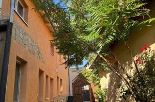 Haus kaufen in 67157 Wachenheim, Tolles Anwesen im Historischem Ortskern auf der Wstr. | Hof, Scheune u. Dachterrasse