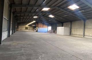 Gewerbeimmobilie mieten in 48341 Altenberge, Mietgünstige Lagerhalle in Altenberge