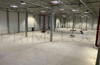 Büro zu mieten in 64832 Babenhausen, ca. 1.000 qm Lager-/ Logistikfläche | Büro | Rampe | ca. 8,00 m UKB