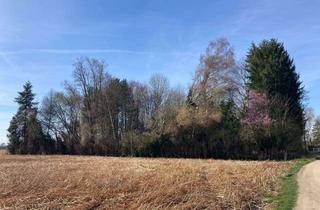 Anlageobjekt in 86316 Friedberg, Freizeitgrundstück in ruhiger, naturnahen Lage