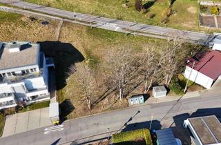 Grundstück zu kaufen in 88633 Heiligenberg, Großes Baugrundstück mit Weitsicht