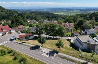 Grundstück zu kaufen in 88633 Heiligenberg, Großes Baugrundstück mit Weitsicht
