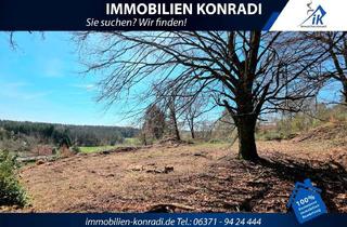 Grundstück zu kaufen in 67705 Trippstadt, IK | Trippstadt: Bebaubares Grundstück in idylischer Lage