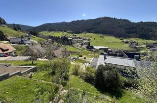 Haus kaufen in 77889 Seebach, Wohnen, wo andere Urlaub machen – Zweifamilienhaus in Bestlage von Seebach