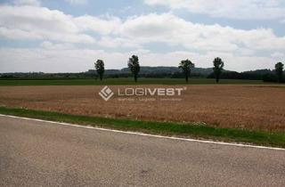 Gewerbeimmobilie kaufen in 85551 Kirchheim, Attraktive Grundstücksfläche in Pliening Nähe A99