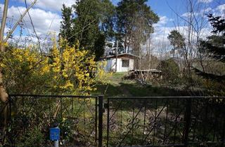 Grundstück zu kaufen in 15754 Blossin, Hauptstadtmakler-Schönes Grundstück mit Wochenendhaus