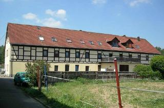 Wohnung mieten in Schulweg, 09603 Großschirma, gemütliche 2-Raum-Wohnung mit Einbauküche in Kleinvoigtsberg