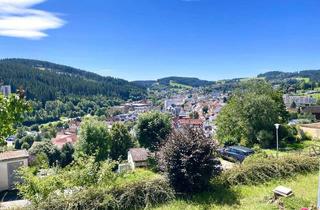 Doppelhaushälfte kaufen in 78120 Furtwangen, Furtwangen von oben – Wohnen mit spektakulärer Aussicht