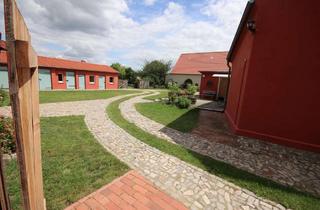 Haus kaufen in 14728 Gollenberg, Dreiseitenhof: zwei Wohnhäuser, Scheune, fast 5ha Land, Offenstallanlage