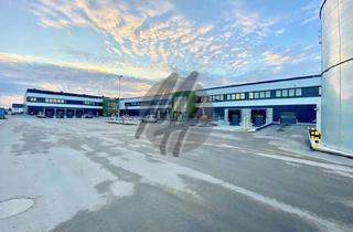 Büro zu mieten in 48565 Steinfurt, NEUBAU / ERSTBEZUG ✓ RAMPE + EBEN ✓ Lager-/Logistik (22.000 m²) & Büro-/Sozial (5.000 m²)