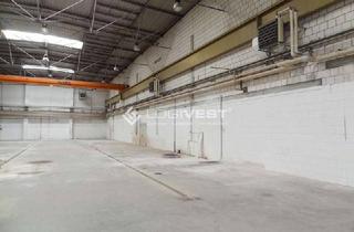 Gewerbeimmobilie mieten in 02994 Bernsdorf, Vielseitige Lager- und Produktionsstätte mit Krananlage!