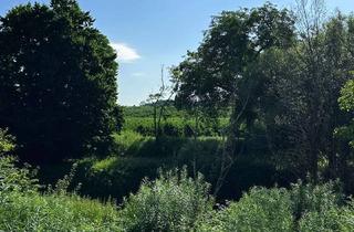 Grundstück zu kaufen in 88074 Meckenbeuren, Ihr Traum vom Wohnen am Wasser - idyllisches Baugrundstück in Meckenbeuren-Lochbrücke – direkt an de