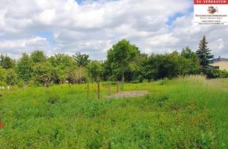 Grundstück zu kaufen in 06308 Benndorf, Baugrundstück in ruhiger Wohnlage am Harzvorland!!!