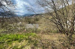 Grundstück zu kaufen in 76596 Forbach, Baugrundstück in Forbach mit toller unverbaubarer Aussicht!