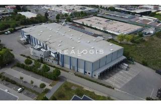 Gewerbeimmobilie mieten in 67598 Gundersheim, Cross Dock / Kühlfläche – Exklusiv im Alleinauftrag