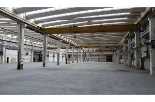 Gewerbeimmobilie mieten in 02994 Bernsdorf, Vielseitige Lager- und Produktionsstätte mit 24/7 und Krananlage