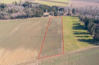 Gewerbeimmobilie kaufen in 89291 Holzheim, ** Landwirtschaftsfläche mit ca. 4.219 m² Grundfläche **