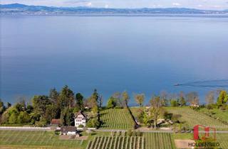 Wohnung kaufen in 88079 Kressbronn, See-, Bergblick und Privatstrand: 2-Zi-Terrassenwhg. in Kressbronn am Bodensee!