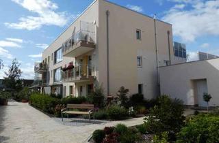 Wohnung mieten in 17213 Malchow, Exklusive, seniorengerechte 1-Raumwohnungen am Fleesensee