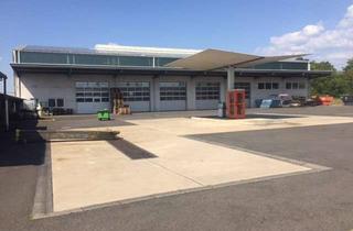Gewerbeimmobilie mieten in Max-Planck-Str. 25, 54516 Wittlich, zwei vielseitig nutzbare Hallen-/Industrieflächen in TOPLAGE