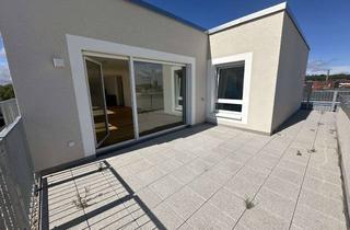 Penthouse mieten in Hellmut-Hartert-Straße 49, 67655 Innenstadt, Neubau Erstbezug - Exklusive Penthouse Wohnung mit Weitblick