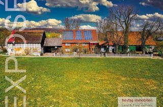 Bauernhaus kaufen in 37574 Einbeck, 4,6 ha Bauernhof zwischen Harz und Weser