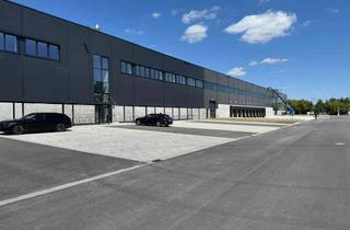 Gewerbeimmobilie mieten in 04451 Borsdorf, Logistikneubau östlich von Leipzig | Bezug ab sofort