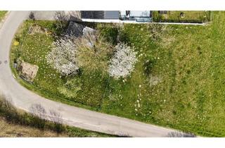 Grundstück zu kaufen in 79713 Bad Säckingen, Großzügiges Baugrundstück im Baugebiet Steinenhäldele Wallbach