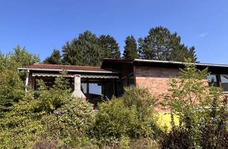 Haus kaufen in 93161 Sinzing, Renovierungsbed. EFH mit Einliegerwohnung in Sinzing/OT Viehhausen zum Bauplatzpreis !