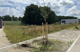 Büro zu mieten in Am Gewerbepark, 85084 Reichertshofen, Gewerbefläche bis zu 600m² (Halle, Lager, Büro, etc.)
