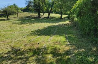 Grundstück zu kaufen in 75447 Sternenfels, Großer Bauplatz mit Weitblick!