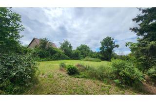 Grundstück zu kaufen in 04838 Laußig, Natur pur in Laußig – Großzügiges Grundstück in ruhiger Lage