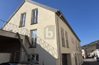 Loft kaufen in 54453 Nittel, LOFTSTYLE, EFFIZIENT, GRENZNAH, MOSELBLICK, KAMIN