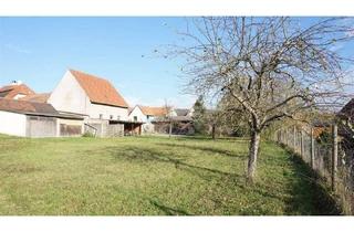 Bauernhaus kaufen in 97513 Michelau, Michelau i.Steigerwald - Bauernhaus, sofort nutzbar mit Ausbaureserve auf weitläufigem Grundstück!