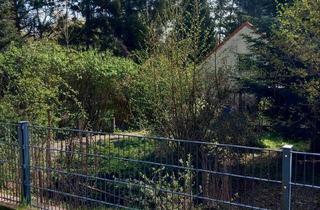Einfamilienhaus kaufen in 16307 Gartz (Oder), Gartz (Oder) - Einfamilienhaus