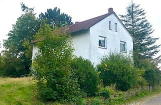 Einfamilienhaus kaufen in 32676 Lügde, Lügde - Größeres Einfamilienhaus