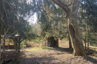 Grundstück zu kaufen in In Der Hölle, 35463 Fernwald, Idyllisches Gartengrundstück direkt am Waldrand – Natur pur!